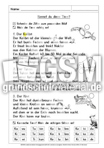 19-In Silben lesen-K-AB 2.pdf